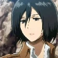 mikasa