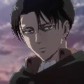 levi