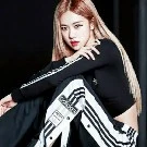 park rose