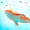 The Whale✨