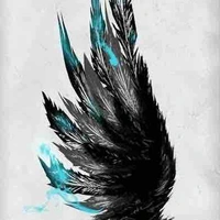 The Writer 