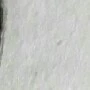 Nadie