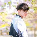ตองตี้