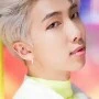 namjoon/rm