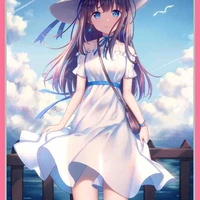 Xiao Feng