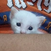 เป็นทุกอย่าง(ให้เทอแล้ว)