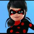 Ladybug