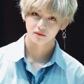 Kim Taehyung Alexander