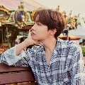 Hobi