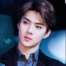 sehun(tangan kanan rose)