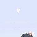 unknown