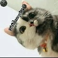 แอด~