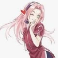 sakura