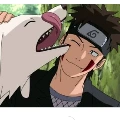 kiba
