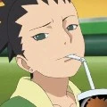 Shikadai