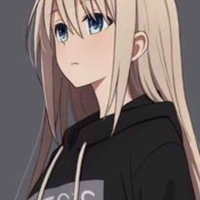 y/n 