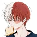 Todoroki