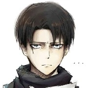 Levi
