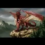 Mountain Dragon