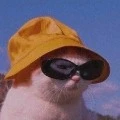 eu/criadora