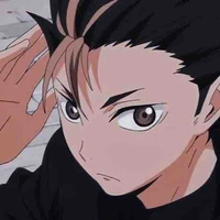 Noya 