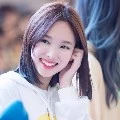 Sindi { seketaris }