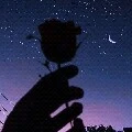 แอด