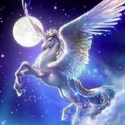 ลาเต้(เทพเพกาซัดสัตว์เลี้ยงนาเดีย)