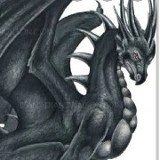 มาร์ค(สัตว์เลี้ยงโอห์มเทพมังกรมืด)