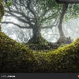 wilderness
