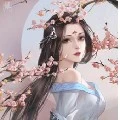 Hui Fu/FL twin