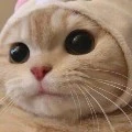 แอด