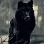 Luna( lobo)