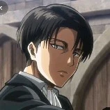 Levi