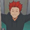 tendo
