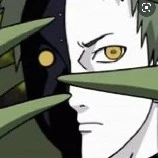 zetsu