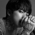 Jin