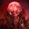 hauntings