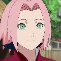sakura