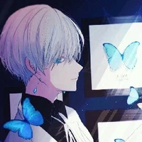 Zen(Zenith)