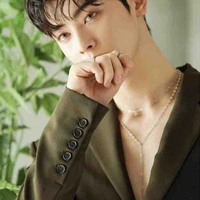 Cha Eunwoo