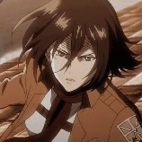 mikasa