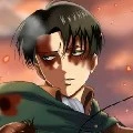 Levi