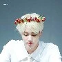 seok jin