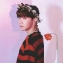 hobi /j-hope