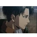 om cebol ( levi ackerman)