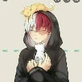 Shoto Todoroki