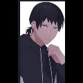 Hanta Sero
