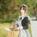หลินหลิน(สาวใช้)