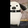 Goro